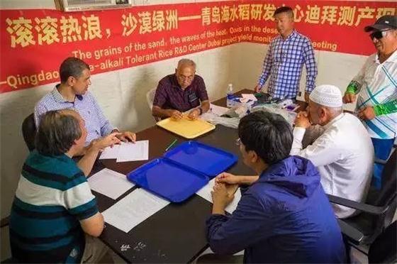 袁隆平團(tuán)隊在迪拜沙漠種出水稻，這一次，中國輸出的是技術(shù)!